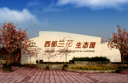 西安兰花园