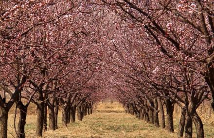 保定洪崖山索道