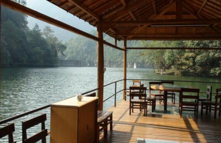 杭州绿荷塘古楠木森林公园