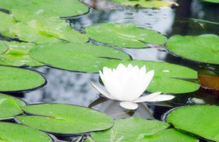 西安绿野仙踪生态庄园