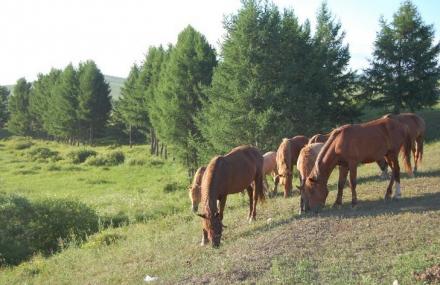 丹东三道河朝鲜族民俗村