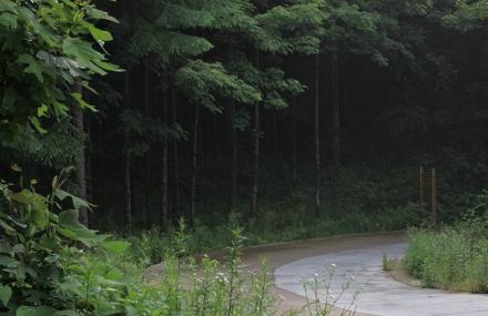 宜昌大老岭森林公园