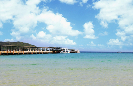 三亚接送机服务