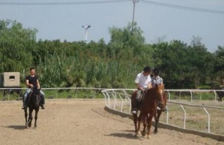 上海辰山517马术会所