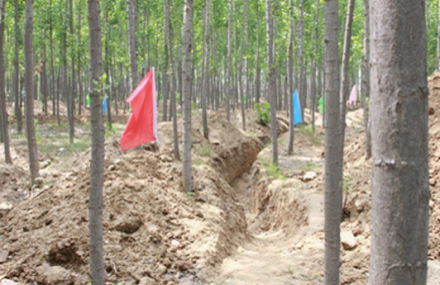 北京白河鑫源来山庄真人CS