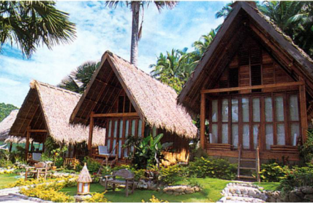 江门凤凰生态乐园