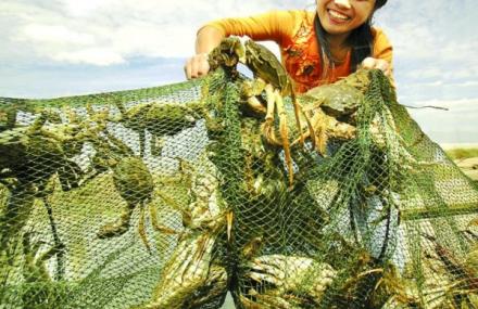 苏州阳澄湖莲花岛乡村舫农家乐
