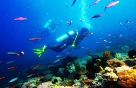 青岛奥帆中心蓝誉潜水体验