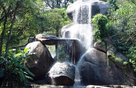 厦门园林植物园