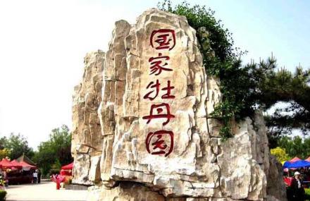 洛阳国家牡丹园