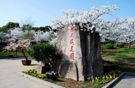 武汉樱花园