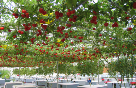 北京世界地热博览园