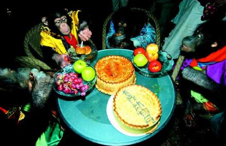 广州长隆夜间动物世界