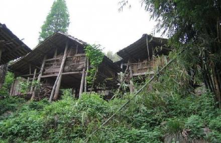 雅安周公山国家森林公园