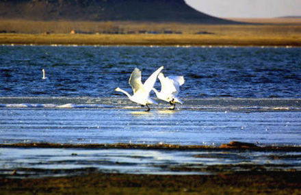 赤峰达里诺尔湖