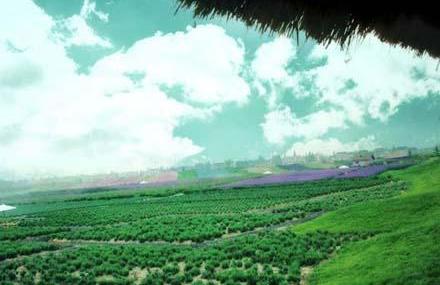 上海寻梦园休闲园