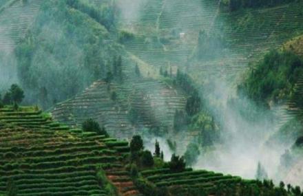 绍兴新昌中国茶市景区