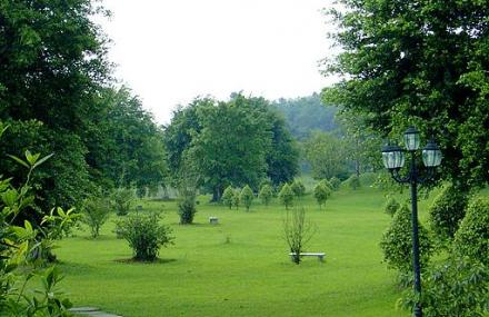 广州大夫山森林公园