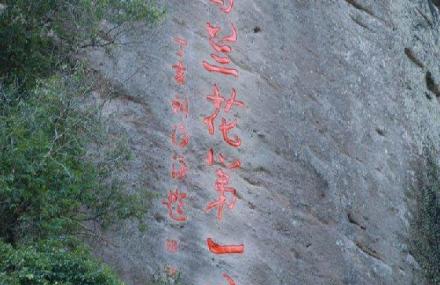 南平中国兰花第一谷