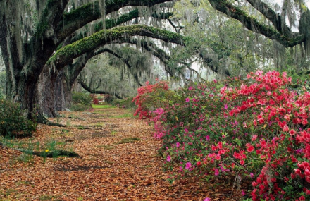 九江三叠泉瀑布