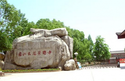 金华中国茶花文化园