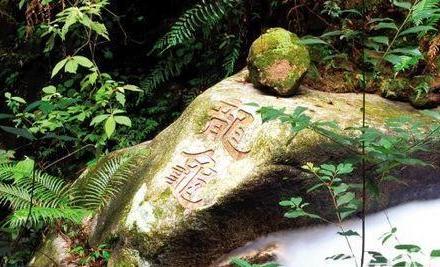 肇庆封开黑石顶自然保护区