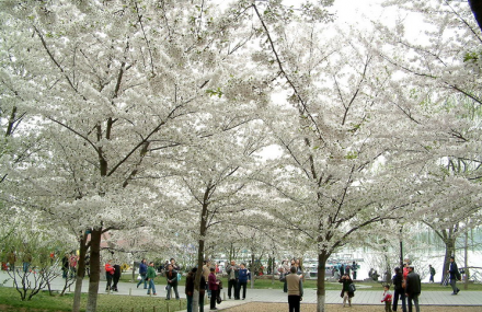 北京玉渊潭公园