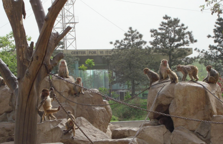 西安秦岭野生动物园