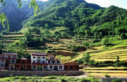 西安太平森林公园