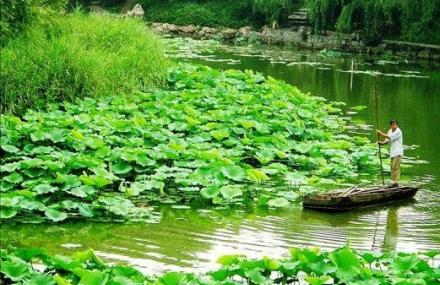 北京紫竹院公园