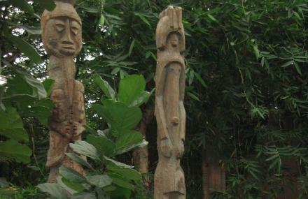 天津热带植物观光园