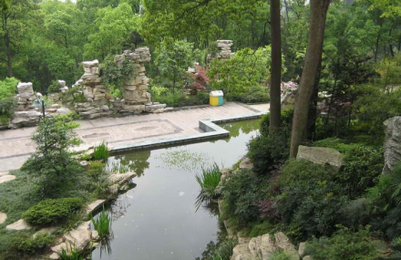 重庆南山植物园