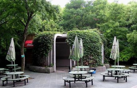 上海共青森林公园