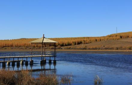 承德塞罕坝国家森林公园