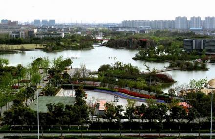 常州市青枫公园