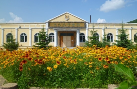 牡丹江海林横道东北虎林园