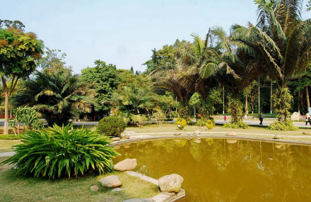 南宁广西药用植物园