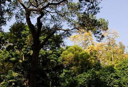 广州黄花岗公园