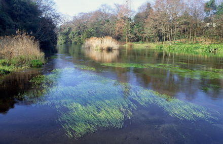 朔州右玉县旅游区
