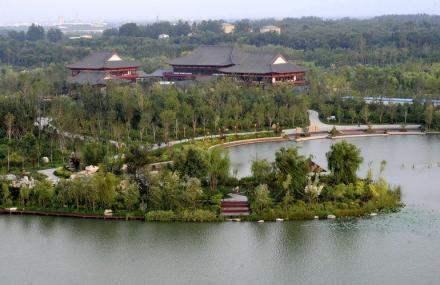 潍坊白浪绿洲湿地公园