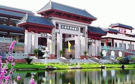 乐山天福观光茶园