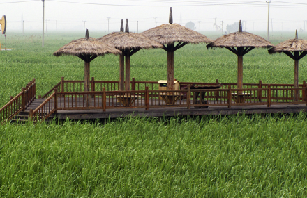 盘锦鼎翔苇海蟹滩