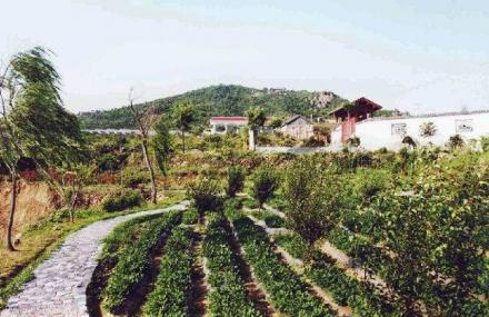 临沂沂水雪山旅游区