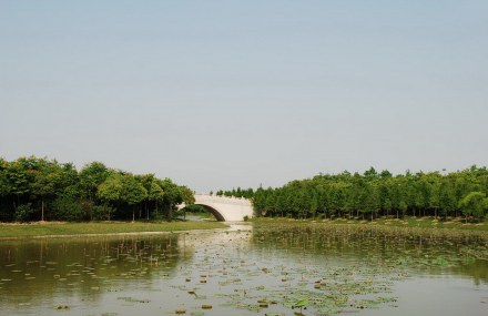 上海海湾国家森林公园