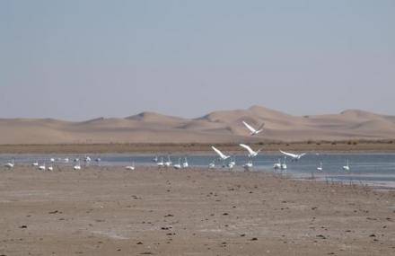 鄂尔多斯七星湖沙漠风景区