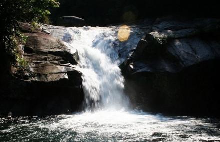 上饶森林水世界