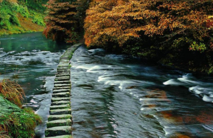 成都花揪山风景区