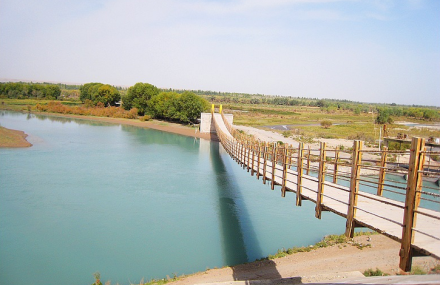 喀什金湖杨国家森林公园