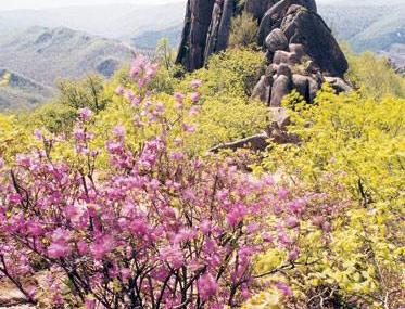 牡丹江火山口国家森林公园