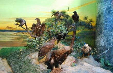 大连自然博物馆